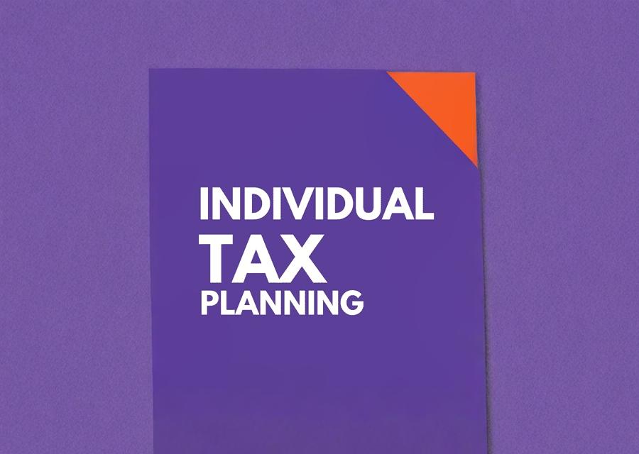 Individual Tax Planning
